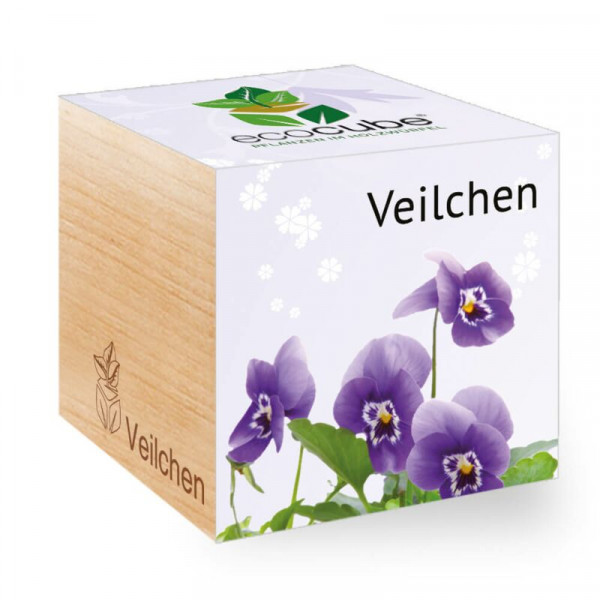 ecoCube - Veilchen