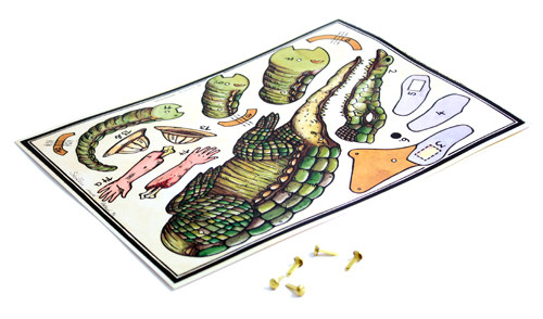 Bastelbogen DIN A4 - Krokodil