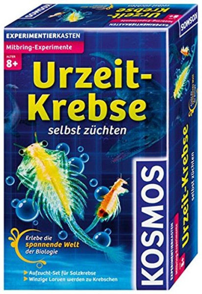 Urzeitkrebse Experiment