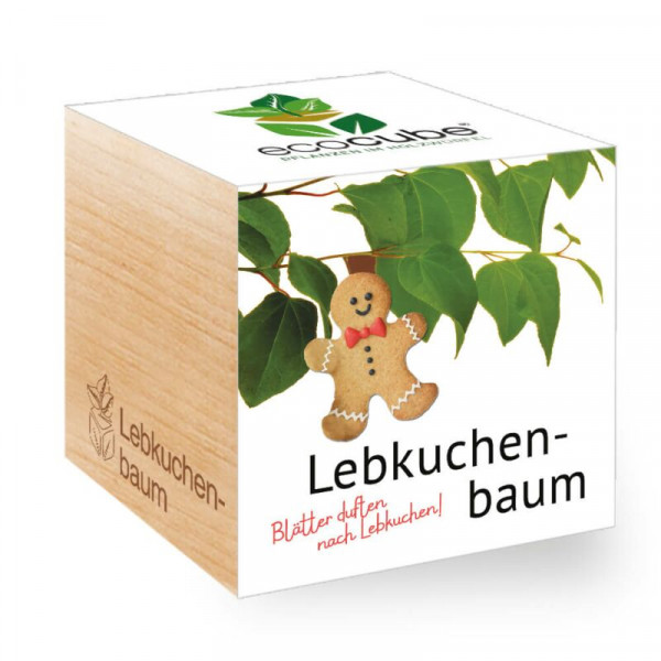 ecoCube - Lebkuchenbaum