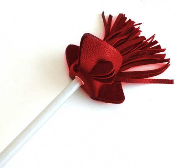 Bravo Stick Protea - weiss-rot