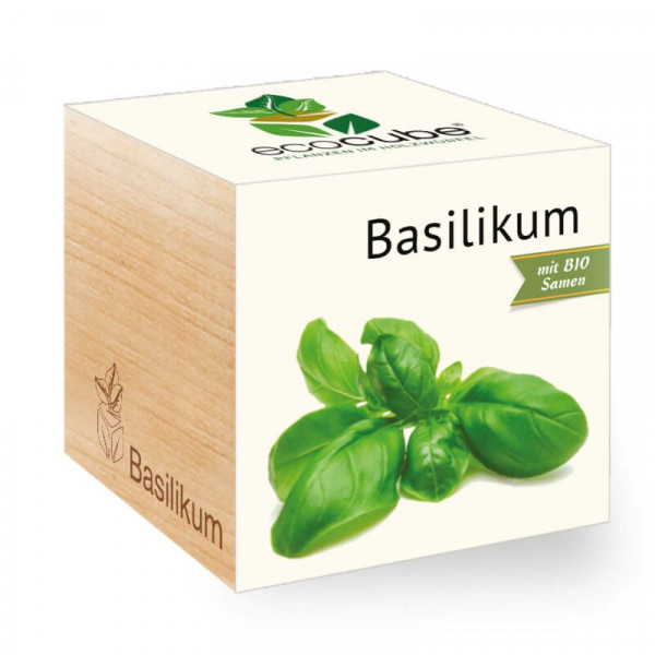 ecoCube - Basilikum