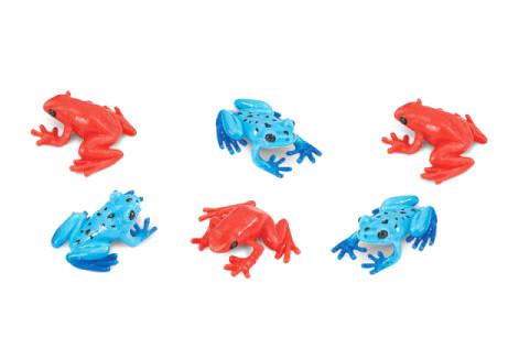 Glücksbringer Mini Giftfrösche