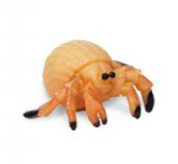 Glücksbringer Mini Krebse