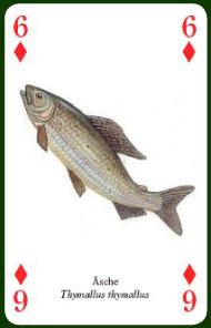 Heritage Spielkarten - Fische