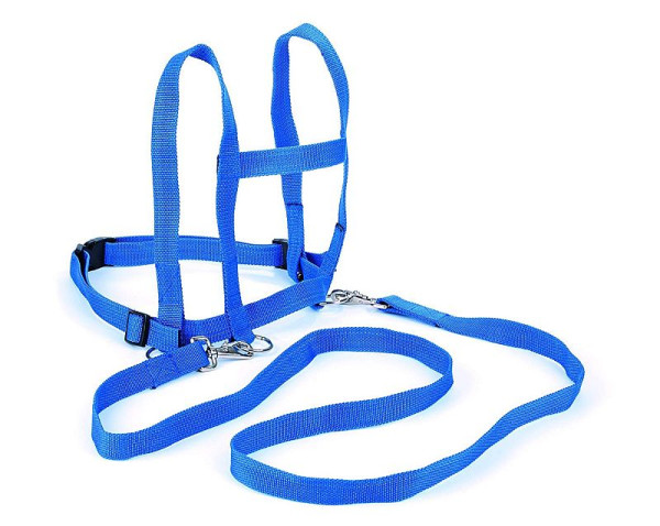 Nylon Pferdeleine Kinder - Geschirr zum Pferd spielen (blau)