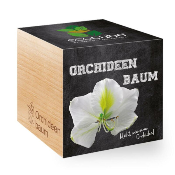 ecoCube - Orchideenbaum