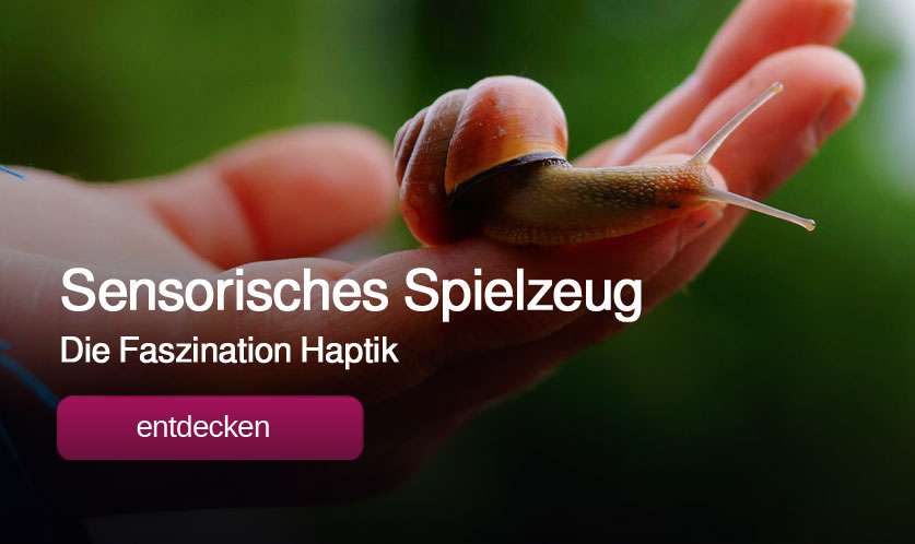 Sensorisches Spielzeug kaufen