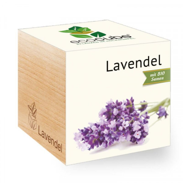 ecoCube - Lavendel