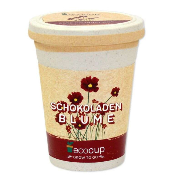 ecoCup - Schokoladenblume