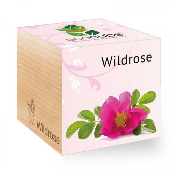 ecoCube - Wildrose