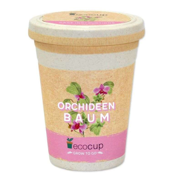 ecoCup - Orchideenbaum