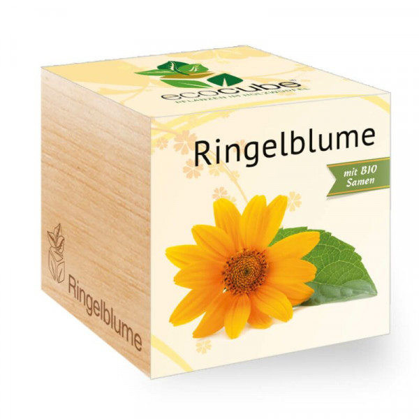 ecoCube - Ringelblume