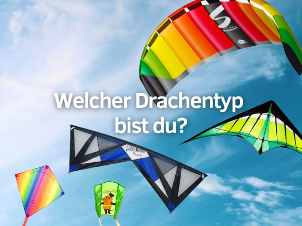 Welcher-Drachentyp-bist-du