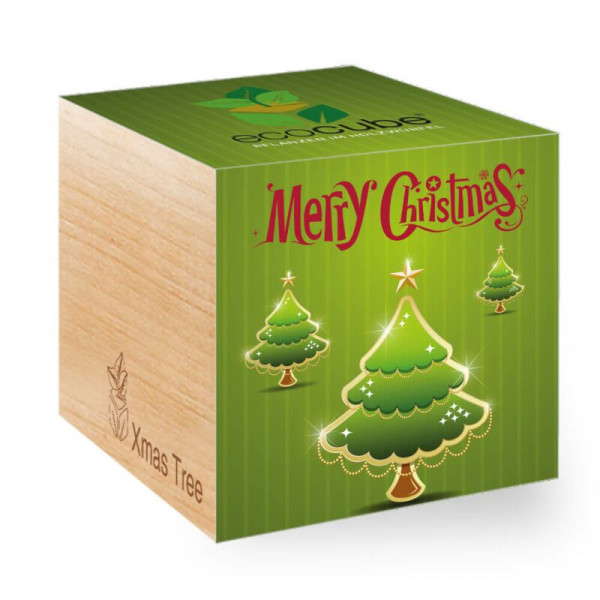 ecoCube - Merry Christmas 2 (grün)