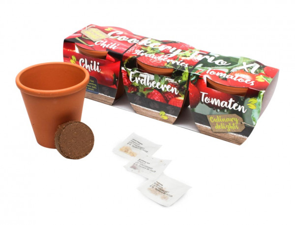 Terracotta Geschenkset XL, Rotes Gemüse