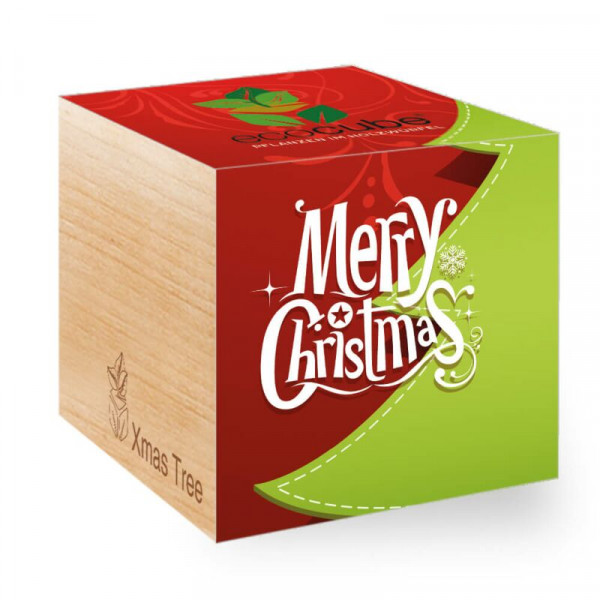 ecoCube - Merry Christmas 1 (rot)