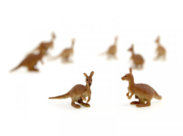 Glücksbringer Mini Känguru