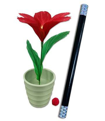 Blumen Magie - Zaubertrick