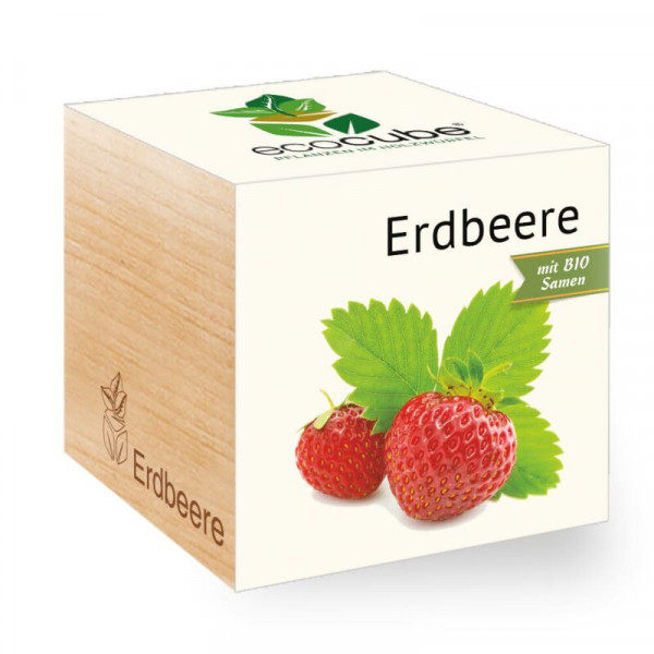 ecoCube - Erdbeeren