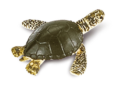 Glücksbringer Mini Wasser-Schildkröte