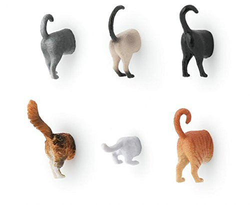 Safari Cat Butt Magnets, Katzenmagnete, 6er Set