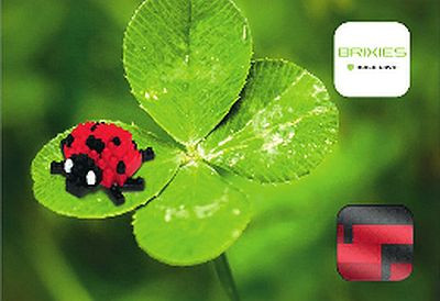 Brixies Postkarte - Marienkäfer