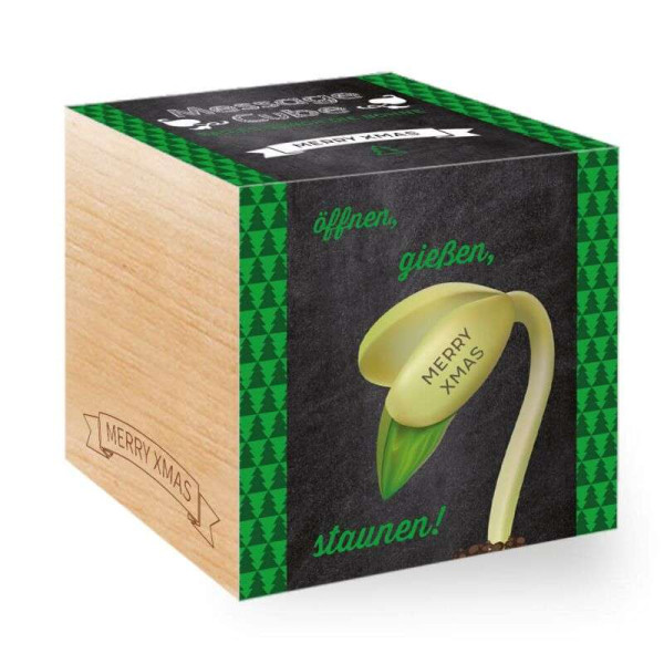 Merry Xmas - Message Cube