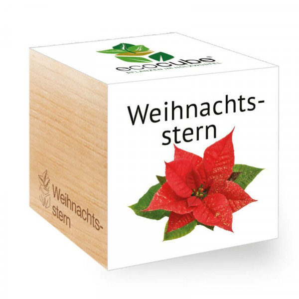 ecoCube - Weihnachtsstern