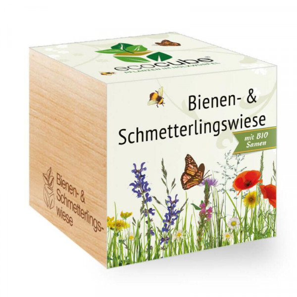 ecoCube - Bienen- & Schmetterlingswiese