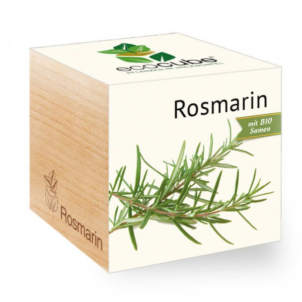 ecoCube - Rosmarin