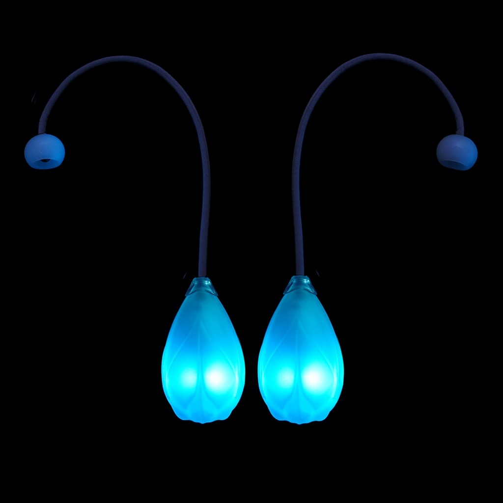 Bild 2 41547