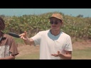 youtube - [Video]