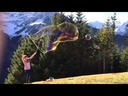 youtube - [Video]