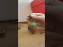 youtube - [Video]