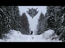 youtube - [Video]