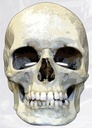 Totenkopf Foto-Karton Maske