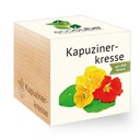 ecoCube - Kapuzinerkresse