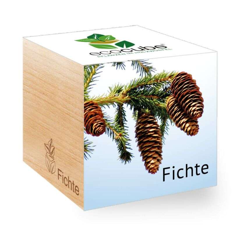 ecoCube - Fichte