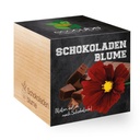 ecoCube - Schokoladenblume