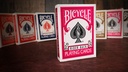 Bicycle Karten - Rider Back - Pink