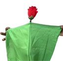 Floating And Multiplying Rose